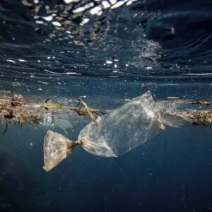 Thursday Night Nature: Microplastics: the Invisible Pollutant with Mike Weilbacher (May 2, 2024)