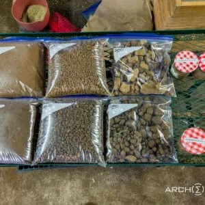 Thursday Night Nature: Soils and Natives 201 - Digging Deeper into the Relationship with Mark Brownlee (October 3, 2024)